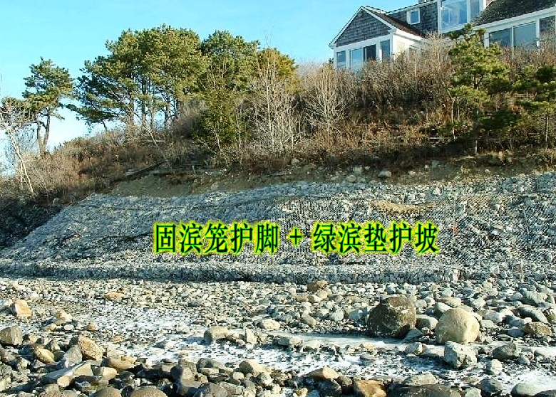 固濱籠護腳、綠濱墊護坡