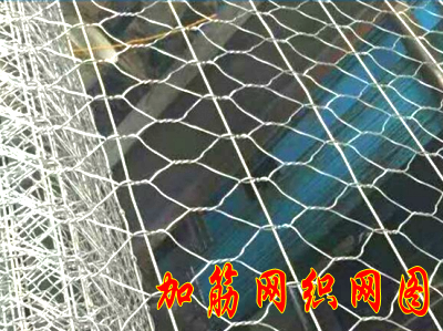 路面加筋網(wǎng)結構示意圖