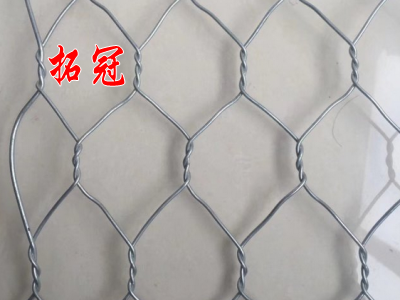 雙絞格網(wǎng)