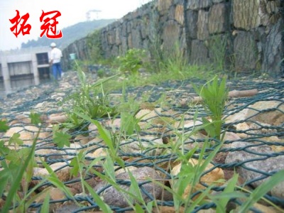 雙絞合網(wǎng)